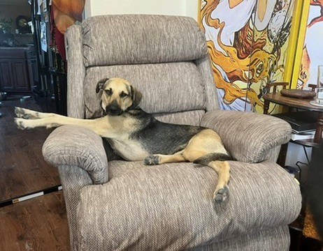 Bella’s Story